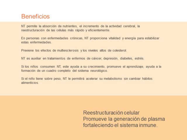 Sin Nombre